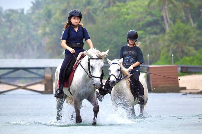 Horse Riding and Beach Trails on Koh Samui - From the stable to the tropical gardens