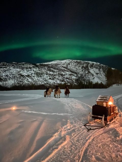 Horse riding and dining experience - Why this Alta horse ride feels different