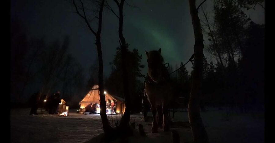 Horse riding and dining experience - Riding through forest and along the Alta River