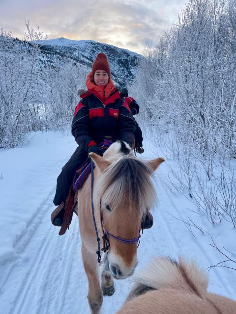 Horse riding and dining experience - A wilderness shelter and dinner by the fire