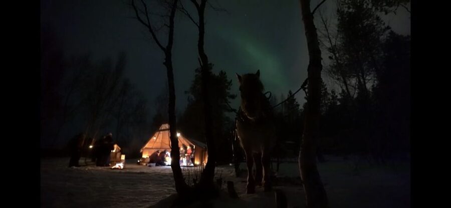 Horse riding and dining experience - From Alta to the Flatmoen Natur farm