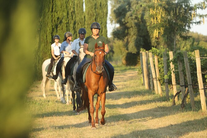 Horse Riding and Wine Tasting Experience - Starting at Cal Robusto in Girona