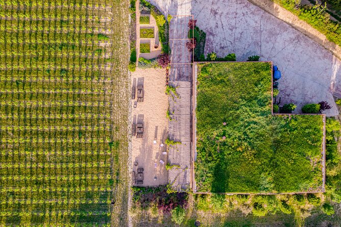 Horse Riding and Wine Tasting Experience - What the small group changes