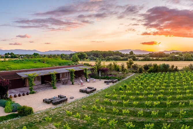 Horse Riding and Wine Tasting Experience - A short transfer to Clos de Basella