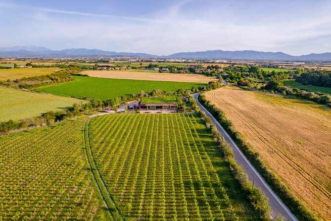 Horse Riding and Wine Tasting Experience - Tasting Clos de Basella wines