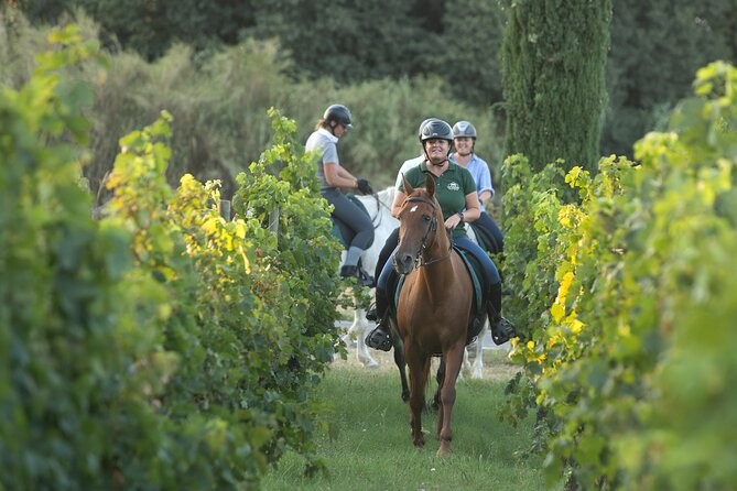 Horse Riding and Wine Tasting Experience - Riding through vineyards, olive groves, and pine woods