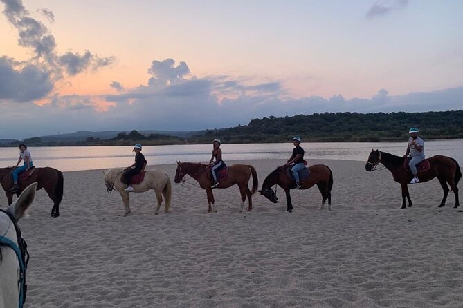 Horse Riding at the Beach in Orosei - Gentle horses and close guide attention