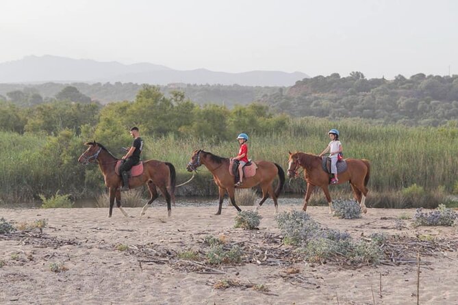 Horse Riding at the Beach in Orosei - Is $105.86 good value?