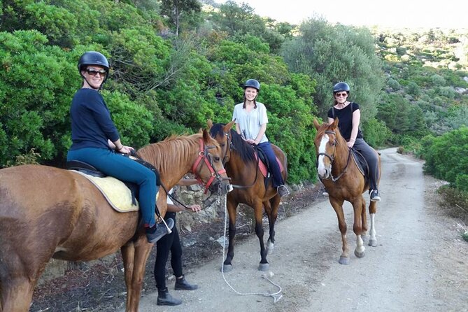 Horse Riding at the Beach in Orosei - Weather, timing, and cancellation details