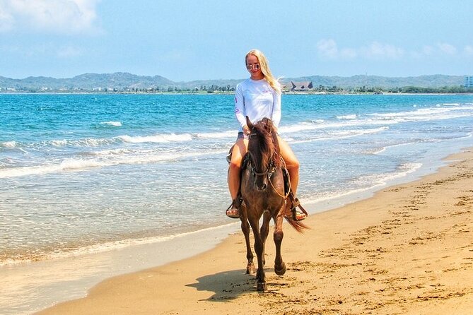 Horse Riding Beach or Desert with transfer from Sharm El Sheikh - Meeting the Horses and Guides