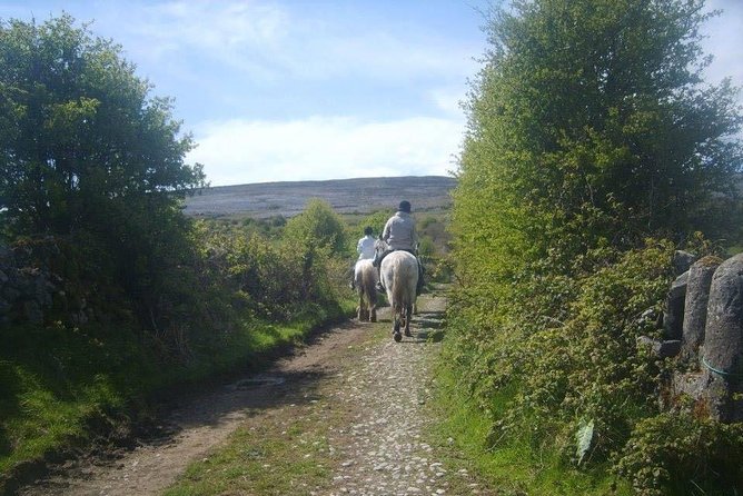 Horse riding - Burren Trail. Lisdoonvarna, Co Clare. Guided. 3 hours. - Getting comfortable with your horse