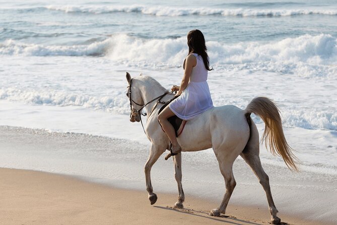 Horse riding by the beach Salalah - What happens before you mount