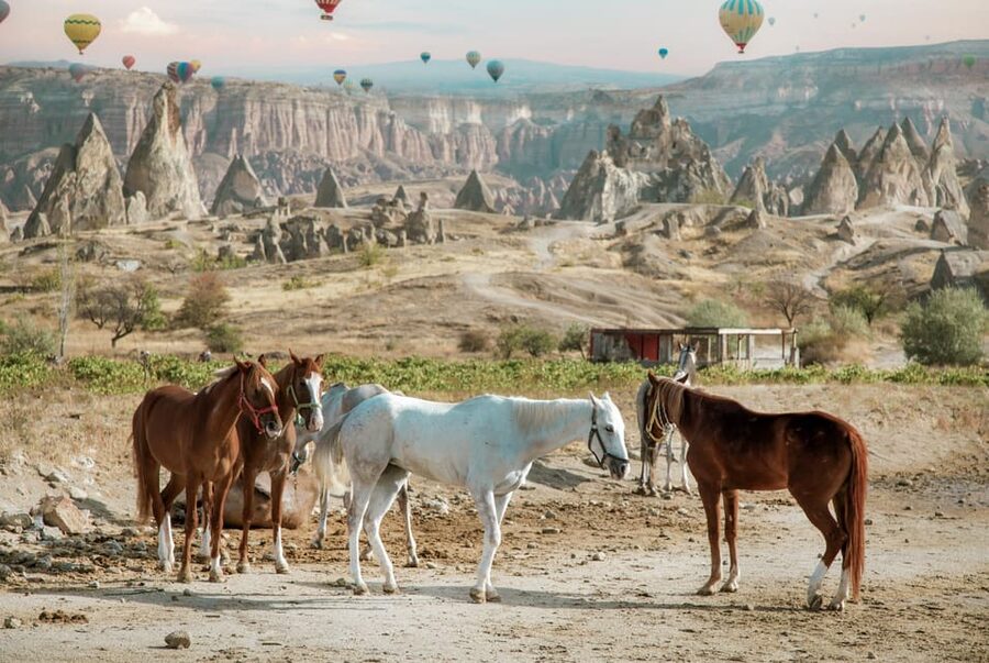 Horse Riding Cappadocia- Cappadocia Horse Farm - Why horseback riding fits Cappadocia