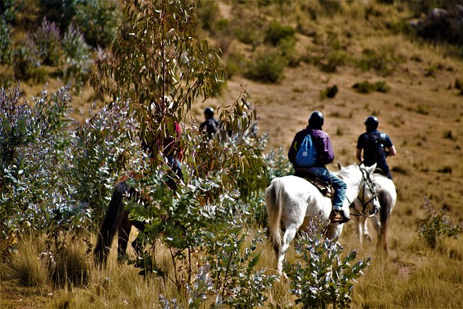 Horse Riding Chacan Mountain And Temple Of The Moon - From your hotel to Gabriel’s ranch
