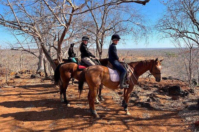 Horse Riding Community Village Tour Experience - Why this ride is different from a Victoria Falls sightseeing tour
