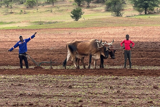 Horse Riding Community Village Tour Experience - Riding through communal lands near Victoria Falls