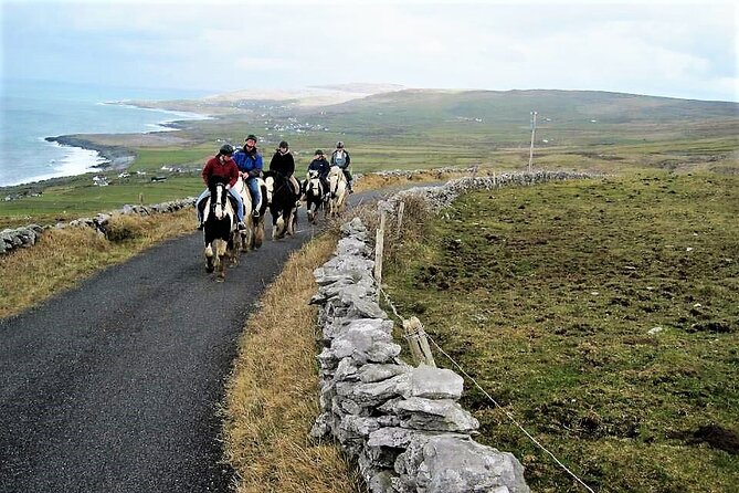 Horse riding - Dirt Trek Trail. Lisdoonvarna, Clare. Guided. 1 hour. - A one-hour ride through County Clare