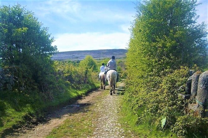 Horse riding - Dirt Trek Trail. Lisdoonvarna, Clare. Guided. 1 hour. - Beginner friendly, but not effortless