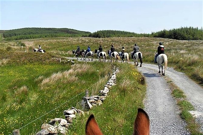 Horse riding - Dirt Trek Trail. Lisdoonvarna, Clare. Guided. 1 hour. - How the price stacks up