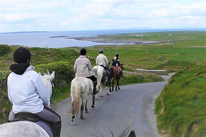 Horse riding - Dirt Trek Trail. Lisdoonvarna, Clare. Guided. 1 hour. - What the route gives you in sixty minutes