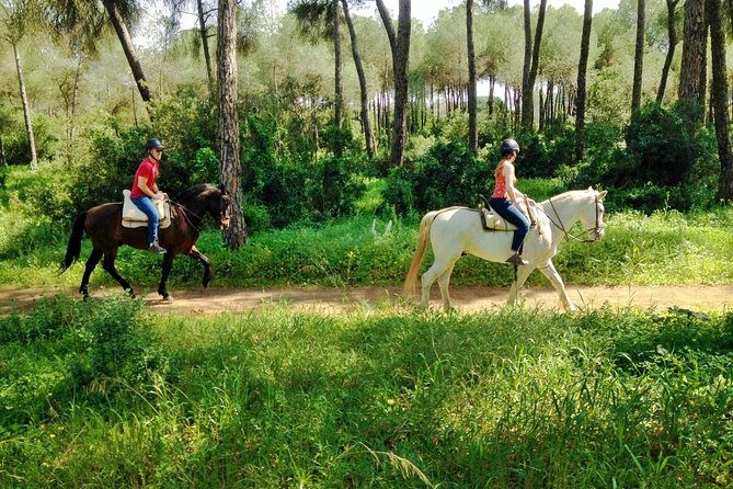 Horse Riding Excursion from Seville - Key points to know before booking