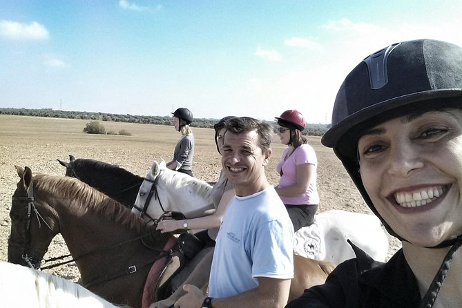 Horse Riding Excursion from Seville - Leaving Seville for the Andalusian countryside