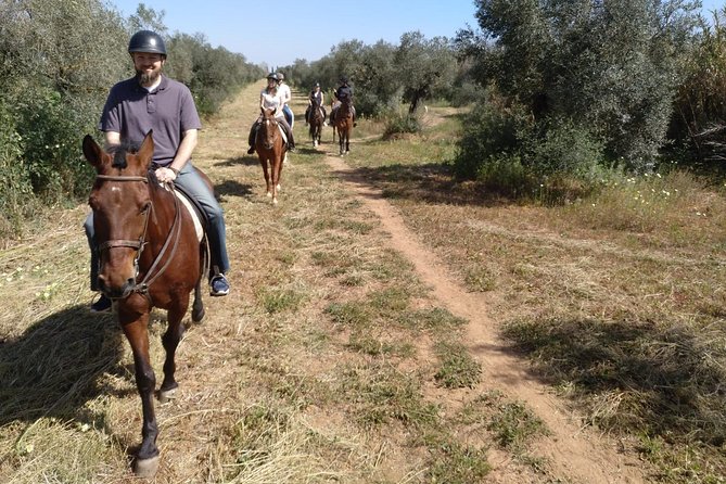 Horse Riding Excursion from Seville - A family-run stable instead of a polished tourist show