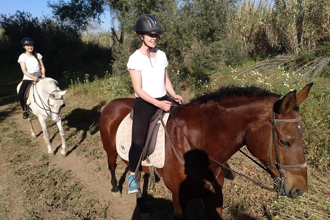 Horse Riding Excursion from Seville - What the 166.99 dollar price includes
