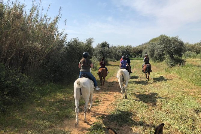 Horse Riding Excursion from Seville - Clothing, comfort, and practical limits