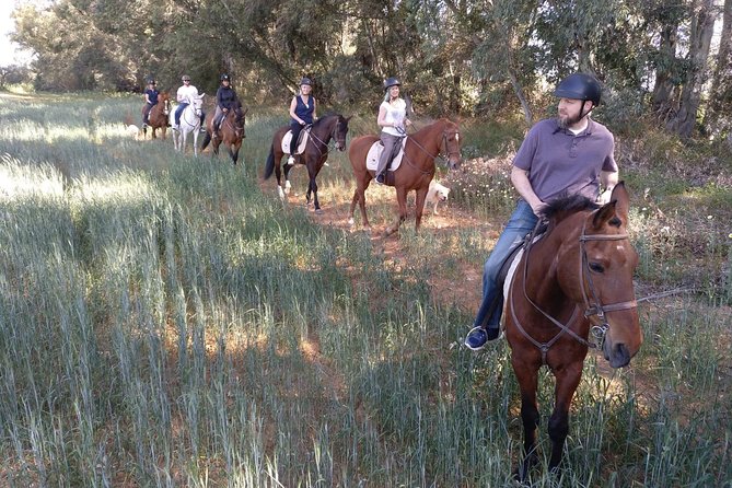 Horse Riding Excursion from Seville - Who will enjoy this ride most