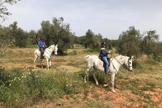 Horse Riding Excursion from Seville - Is the Seville horseback ride worth booking?