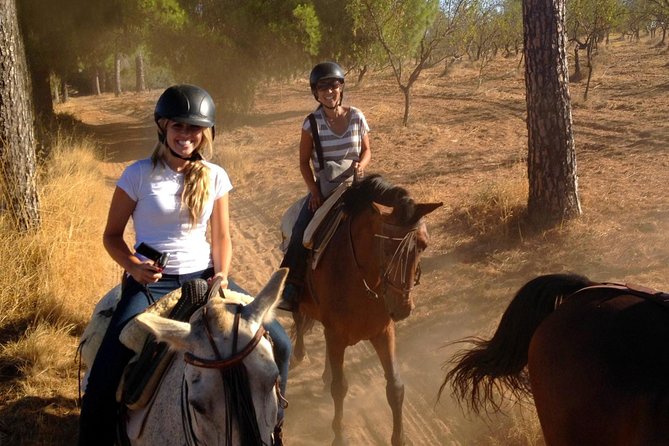 Horse Riding Excursion from Seville - Meeting the horses and getting comfortable