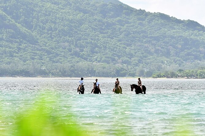 Horse Riding experience by Haras du Morne - What this Haras du Morne experience really offers