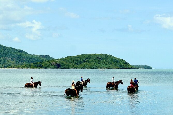 Horse Riding experience by Haras du Morne - Grand Bassin, a sacred place for Mauritius Hindus