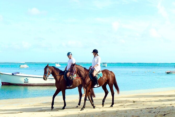 Horse Riding experience by Haras du Morne - Trou aux Cerfs and the view over Curepipe
