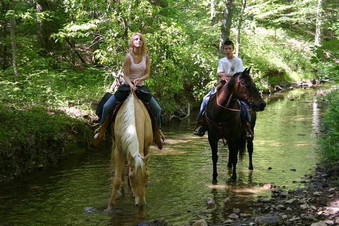 Horse Riding Experience in Marmaris with Transfer - Key points before you book