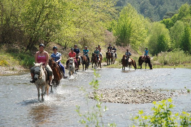 Horse Riding Experience in Marmaris with Transfer - Leaving Marmaris for Pinar Horse Safari