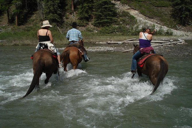 Horse Riding Experience in Marmaris with Transfer - Meeting the horses and choosing your ride