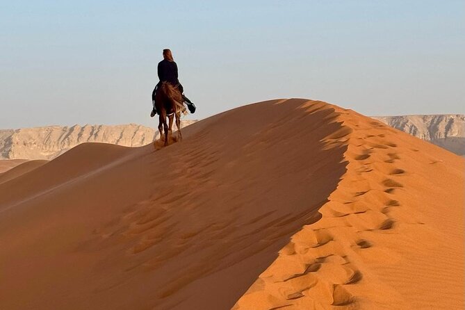 Horse Riding Experience in Riyadh | Tanomah | Jeddah | Al Ula - Three settings, one short horseback ride