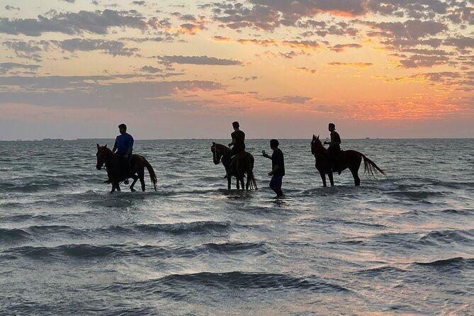 Horse Riding Experience in Riyadh | Tanomah | Jeddah | Al Ula - Jeddah: Red Sea views at Khalij Salman Beach