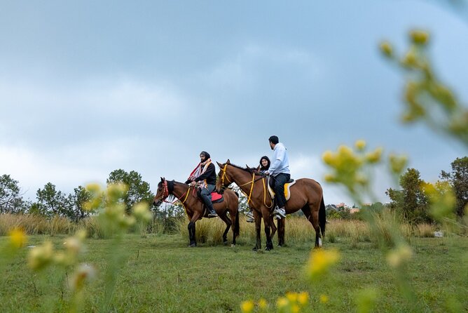 Horse Riding Experience in Riyadh | Tanomah | Jeddah | Al Ula - Tanomah: the most varied route