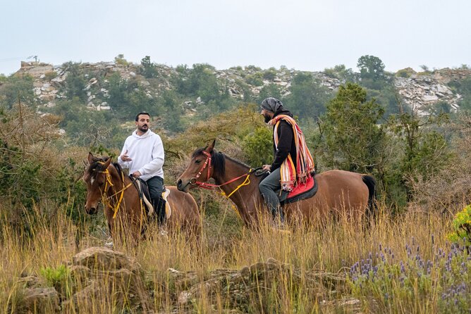 Horse Riding Experience in Riyadh | Tanomah | Jeddah | Al Ula - Riyadh: red dunes and open desert