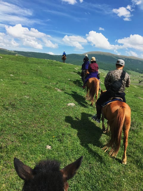 Horse riding experience in Terelj National park 1 day - Key details before you book