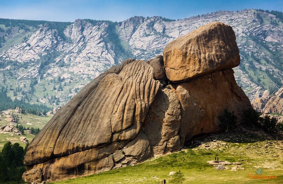Horse riding experience in Terelj National park 1 day - One hour on horseback for beginners