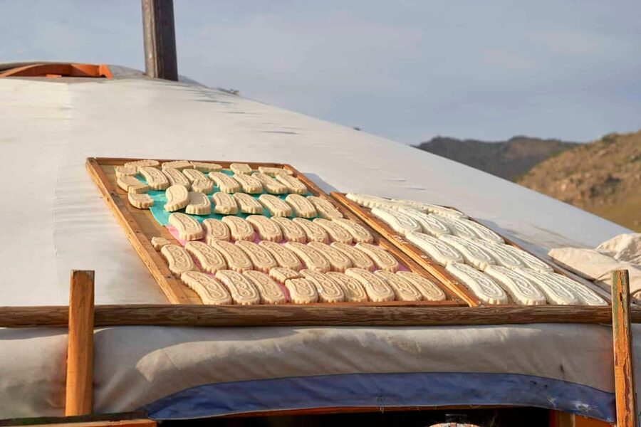 Horse riding experience in Terelj National park 1 day - Bogd Khaan Palace Museum and Zaisan Hill