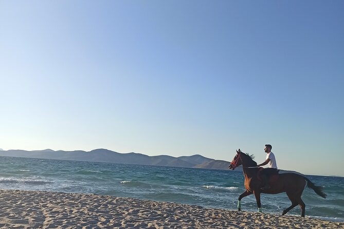 Horse Riding Experience on the Beach with Instructor - Key points at a glance