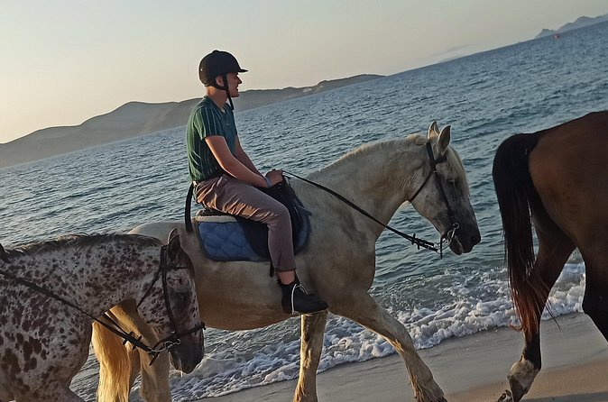 Horse Riding Experience on the Beach with Instructor - Beginner-friendly, but not only for beginners