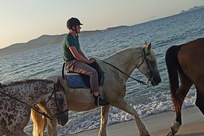 Horse Riding Experience on the Beach with Instructor - Horse care matters here