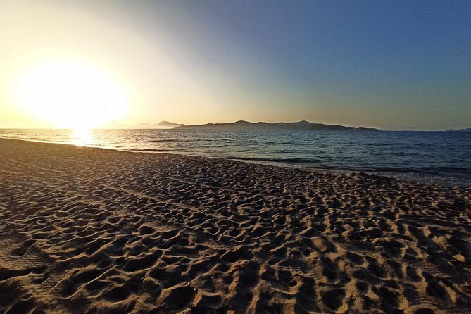 Horse Riding Experience on the Beach with Instructor - Pickup, timing, and what to plan