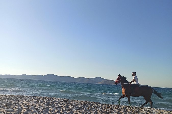 Horse Riding Experience on the Beach with Instructor - Drinks, photos, and the finish at the ranch